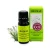 Pálmarózsaolaj 10ml - Aromax