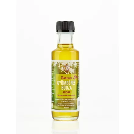 Gyümölcsesszencia válogatás - bodzás 4x100ml - Bálint Csemegék