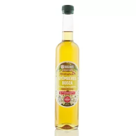   Gyömbéres bodza gyümölcsesszencia 0,5 l - Bálint Csemegék