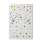 Körömmatrica - Daisy - Perfect Nails