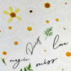 Körömmatrica - Daisy - Perfect Nails