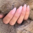 Körömmatrica - Easy French White - Perfect Nails