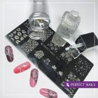 Körömnyomda - Clear - Perfect Nails