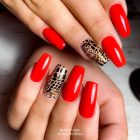 Körömnyomda Lemez - Animal Love - Perfect Nails