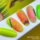 Körömnyomda Lemez - Fruit Art - Perfect Nails