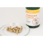 Vitaking Gymnema Sylvestre 400mg 90 kapszula